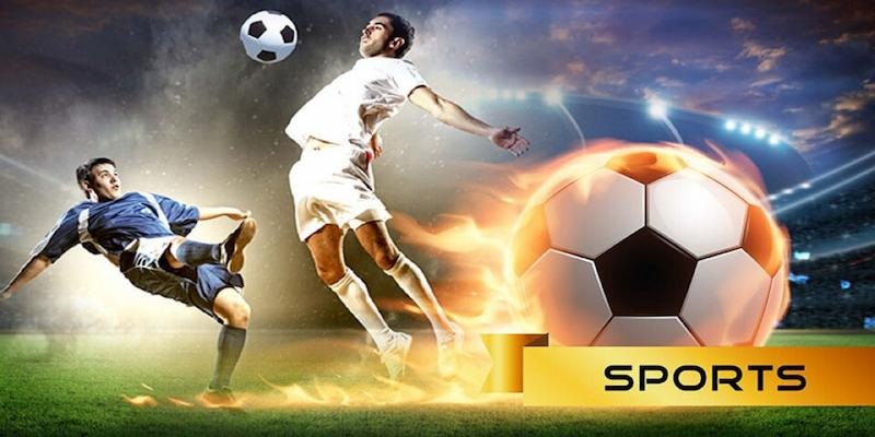 Tham gia ngay vào sàn cá cược thể thao tại 77Bet chỉ với vài bước đơn giản.