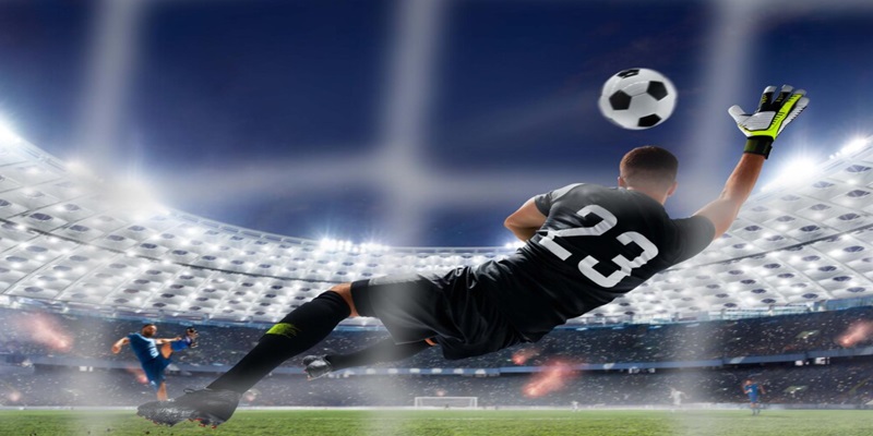 77Bet - Trang cá cược chính thức của hàng trăm giải đấu thể thao.